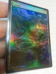 Forest #21 Foil Extended
